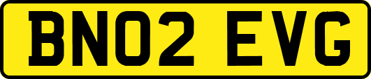 BN02EVG