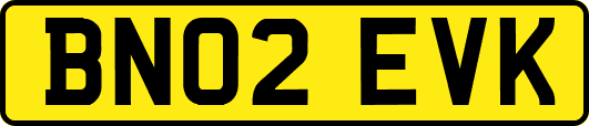 BN02EVK
