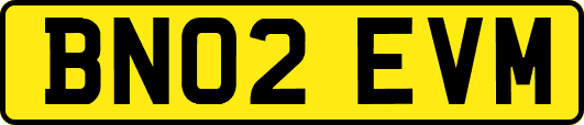 BN02EVM