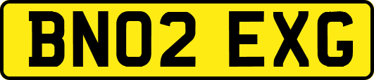 BN02EXG