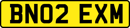 BN02EXM