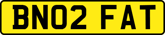 BN02FAT