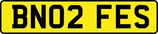 BN02FES