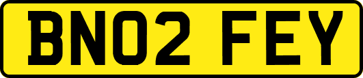 BN02FEY