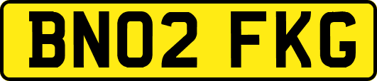 BN02FKG