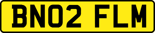BN02FLM