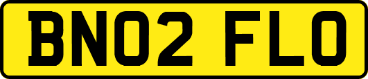 BN02FLO