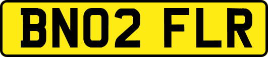 BN02FLR