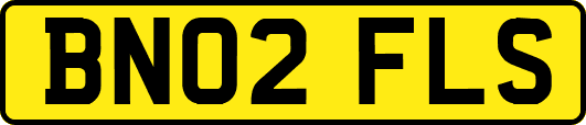 BN02FLS