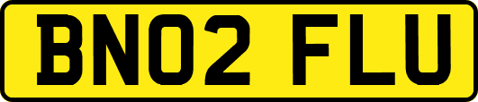 BN02FLU
