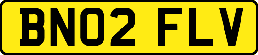 BN02FLV