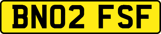 BN02FSF