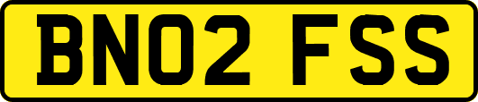 BN02FSS