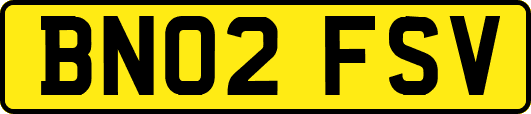 BN02FSV