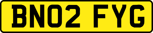 BN02FYG