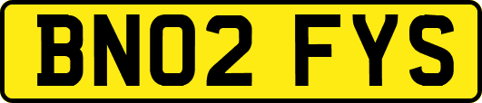 BN02FYS