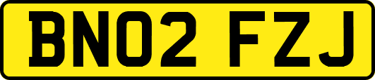 BN02FZJ