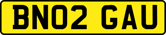 BN02GAU