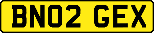 BN02GEX