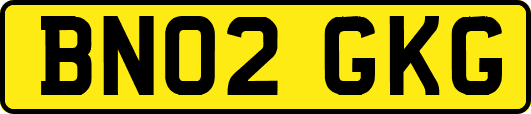 BN02GKG