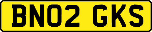 BN02GKS