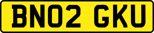 BN02GKU