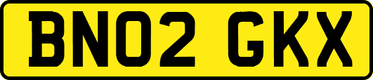 BN02GKX