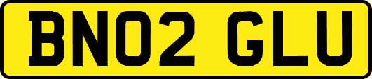 BN02GLU