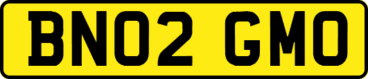 BN02GMO