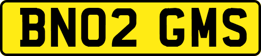 BN02GMS