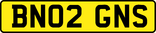 BN02GNS