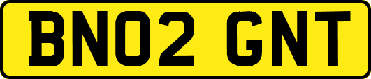 BN02GNT
