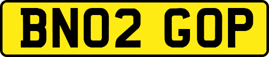 BN02GOP
