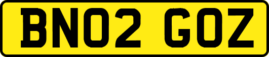 BN02GOZ