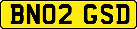 BN02GSD