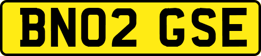 BN02GSE