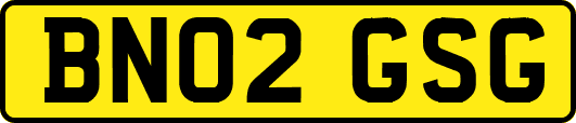 BN02GSG