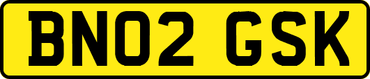 BN02GSK