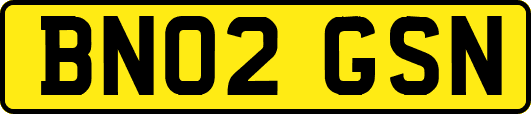 BN02GSN