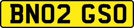 BN02GSO