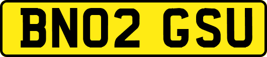 BN02GSU
