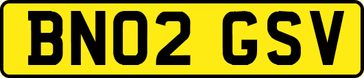 BN02GSV