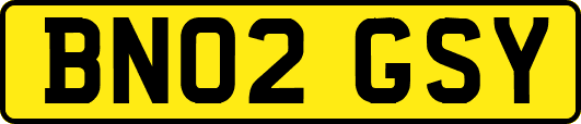 BN02GSY