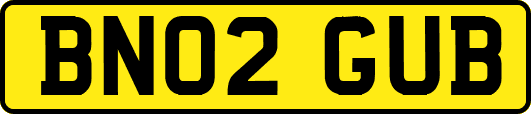 BN02GUB