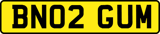 BN02GUM