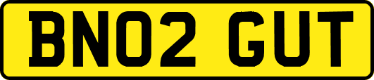 BN02GUT