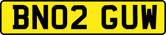 BN02GUW