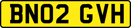 BN02GVH