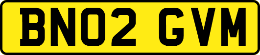 BN02GVM