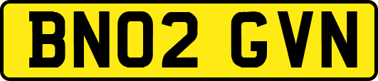 BN02GVN